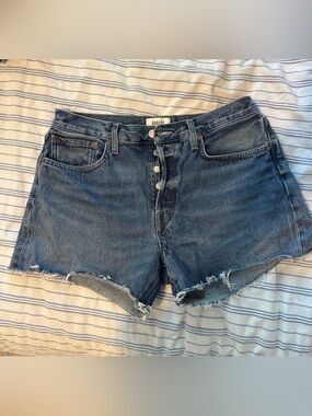 Agolde Parker Long Shorts